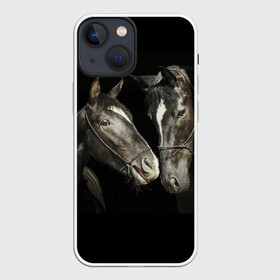 Чехол для iPhone 13 mini с принтом Лошади в Тюмени,  |  | Тематика изображения на принте: animal | beautiful | black | couple | eyes | gloss | harness | horse | look | muzzle | взгляд | глаза | животное | конь | красивый | лоск | лошади | пара | сбруя | скакуны | черные