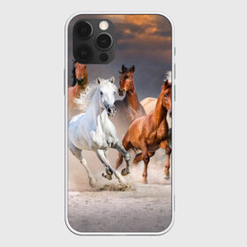 Чехол для iPhone 12 Pro Max с принтом Табун в Тюмени, Силикон |  | animal | beautiful | black | brown | desert | gloss | herd | horse | mane | mustang | muzzle | nature | sand | white | wild | белый | грива | дикий | животное | конь | коричневый | красивый | лоск | лошадь | мустанг | песок | природа | пусты