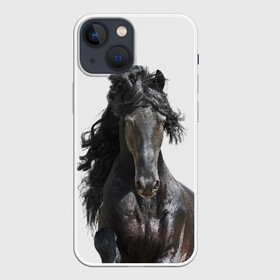 Чехол для iPhone 13 mini с принтом Лошадь в Тюмени,  |  | animal | beautiful | black | horse | mane | mustang | muzzle | wild | грива | дикий | животное | конь | красивый | лошадь | мустанг | скакун | черный