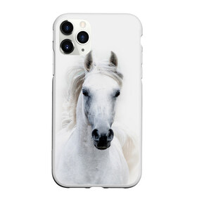 Чехол для iPhone 11 Pro матовый с принтом Белая лошадь в Тюмени, Силикон |  | animal | beautiful | gloss | horse | mane | mustang | muzzle | white | wild | белый | грива | дикий | животное | конь | красивый | лоск | лошадь | мустанг | скакун