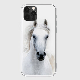 Чехол для iPhone 12 Pro Max с принтом Белая лошадь в Тюмени, Силикон |  | animal | beautiful | gloss | horse | mane | mustang | muzzle | white | wild | белый | грива | дикий | животное | конь | красивый | лоск | лошадь | мустанг | скакун