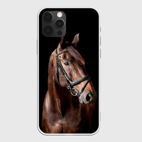 Чехол для iPhone 12 Pro Max с принтом Гнедая лошадь в Тюмени, Силикон |  | animal | beautiful | black | brown | eyes | gloss | harness | horse | look | muzzle | взгляд | глаза | гнедая | животное | конь | коричневый | красивый | лоск | лошадь | сбруя | скакун | черный