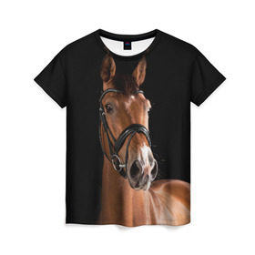 Женская футболка 3D с принтом Гнедая лошадь в Тюмени, 100% полиэфир ( синтетическое хлопкоподобное полотно) | прямой крой, круглый вырез горловины, длина до линии бедер | Тематика изображения на принте: animal | beautiful | black | brown | eyes | gloss | harness | horse | look | muzzle | взгляд | глаза | гнедая | животное | конь | коричневый | красивый | лоск | лошадь | сбруя | скакун | черный