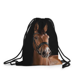 Рюкзак-мешок 3D с принтом Гнедая лошадь в Тюмени, 100% полиэстер | плотность ткани — 200 г/м2, размер — 35 х 45 см; лямки — толстые шнурки, застежка на шнуровке, без карманов и подкладки | animal | beautiful | black | brown | eyes | gloss | harness | horse | look | muzzle | взгляд | глаза | гнедая | животное | конь | коричневый | красивый | лоск | лошадь | сбруя | скакун | черный