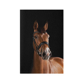 Обложка для паспорта матовая кожа с принтом Гнедая лошадь в Тюмени, натуральная матовая кожа | размер 19,3 х 13,7 см; прозрачные пластиковые крепления | Тематика изображения на принте: animal | beautiful | black | brown | eyes | gloss | harness | horse | look | muzzle | взгляд | глаза | гнедая | животное | конь | коричневый | красивый | лоск | лошадь | сбруя | скакун | черный
