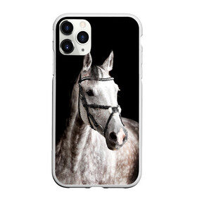 Чехол для iPhone 11 Pro матовый с принтом Серный в яблоках конь в Тюмени, Силикон |  | animal | beautiful | black | eyes | gloss | harness | horse | look | muzzle | spotted | white | белый | в яблоках | взгляд | глаза | животное | конь | красивый | лоск | лошадь | пятнистый | сбруя | серый | скакун | черный