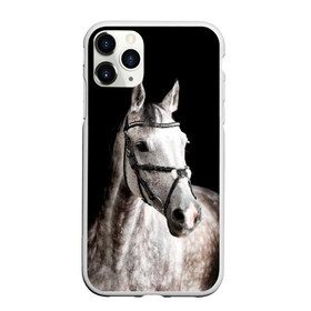 Чехол для iPhone 11 Pro Max матовый с принтом Серный в яблоках конь в Тюмени, Силикон |  | animal | beautiful | black | eyes | gloss | harness | horse | look | muzzle | spotted | white | белый | в яблоках | взгляд | глаза | животное | конь | красивый | лоск | лошадь | пятнистый | сбруя | серый | скакун | черный