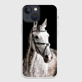 Чехол для iPhone 13 mini с принтом Серный в яблоках конь в Тюмени,  |  | animal | beautiful | black | eyes | gloss | harness | horse | look | muzzle | spotted | white | белый | в яблоках | взгляд | глаза | животное | конь | красивый | лоск | лошадь | пятнистый | сбруя | серый | скакун | черный