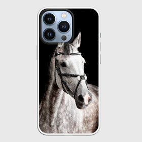 Чехол для iPhone 13 Pro с принтом Серный в яблоках конь в Тюмени,  |  | animal | beautiful | black | eyes | gloss | harness | horse | look | muzzle | spotted | white | белый | в яблоках | взгляд | глаза | животное | конь | красивый | лоск | лошадь | пятнистый | сбруя | серый | скакун | черный