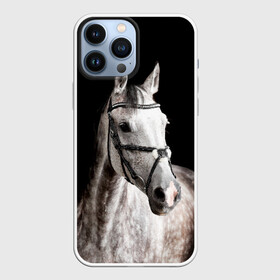 Чехол для iPhone 13 Pro Max с принтом Серный в яблоках конь в Тюмени,  |  | animal | beautiful | black | eyes | gloss | harness | horse | look | muzzle | spotted | white | белый | в яблоках | взгляд | глаза | животное | конь | красивый | лоск | лошадь | пятнистый | сбруя | серый | скакун | черный