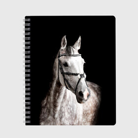 Тетрадь с принтом Серный в яблоках конь в Тюмени, 100% бумага | 48 листов, плотность листов — 60 г/м2, плотность картонной обложки — 250 г/м2. Листы скреплены сбоку удобной пружинной спиралью. Уголки страниц и обложки скругленные. Цвет линий — светло-серый
 | animal | beautiful | black | eyes | gloss | harness | horse | look | muzzle | spotted | white | белый | в яблоках | взгляд | глаза | животное | конь | красивый | лоск | лошадь | пятнистый | сбруя | серый | скакун | черный