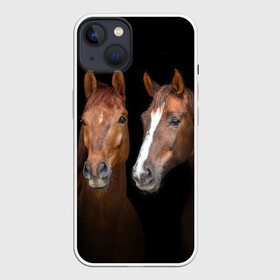 Чехол для iPhone 13 с принтом Лошади гнедые в Тюмени,  |  | Тематика изображения на принте: animal | beautiful | black | brown | coffee | couple | eyes | gloss | horse | look | muzzle | взгляд | глаза | гнедые | животное | конь | коричневый | кофейный | красивый | лоск | лошади | пара | скакун | черный