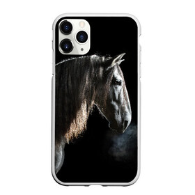 Чехол для iPhone 11 Pro матовый с принтом Серный в яблоках конь в Тюмени, Силикон |  | animal | beautiful | black | eyes | gloss | harness | horse | look | muzzle | portrait | в яблоках | взгляд | глаза | животное | конь | красивый | лоск | лошадь | портрет | сбруя | серый | скакун