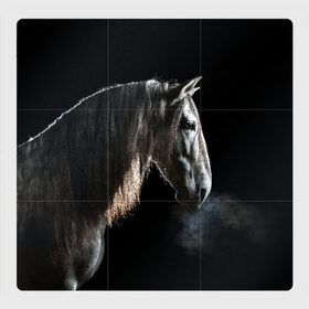 Магнитный плакат 3Х3 с принтом Серный в яблоках конь в Тюмени, Полимерный материал с магнитным слоем | 9 деталей размером 9*9 см | animal | beautiful | black | eyes | gloss | harness | horse | look | muzzle | portrait | в яблоках | взгляд | глаза | животное | конь | красивый | лоск | лошадь | портрет | сбруя | серый | скакун