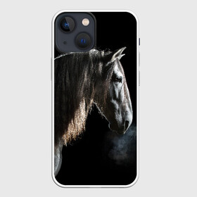 Чехол для iPhone 13 mini с принтом Серный в яблоках конь в Тюмени,  |  | animal | beautiful | black | eyes | gloss | harness | horse | look | muzzle | portrait | в яблоках | взгляд | глаза | животное | конь | красивый | лоск | лошадь | портрет | сбруя | серый | скакун