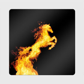 Магнит виниловый Квадрат с принтом Огненный конь в Тюмени, полимерный материал с магнитным слоем | размер 9*9 см, закругленные углы | animal | beautiful | black | fiery | fire | horse | mane | wild | грива | дикий | животное | конь | красивый | лошадь | огненный | огонь | скакун | черный