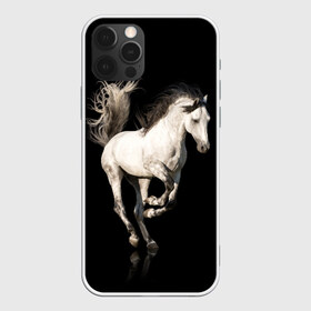 Чехол для iPhone 12 Pro Max с принтом Серный в яблоках конь в Тюмени, Силикон |  | animal | beautiful | black | gloss | horse | mane | mustang | muzzle | white | wild | белый | в яблоках | грива | дикий | животное | конь | красивый | лоск | лошадь | мустанг | серый | скакун | черный