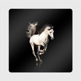 Магнит виниловый Квадрат с принтом Серный в яблоках конь в Тюмени, полимерный материал с магнитным слоем | размер 9*9 см, закругленные углы | animal | beautiful | black | gloss | horse | mane | mustang | muzzle | white | wild | белый | в яблоках | грива | дикий | животное | конь | красивый | лоск | лошадь | мустанг | серый | скакун | черный