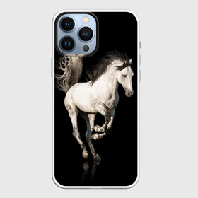 Чехол для iPhone 13 Pro Max с принтом Серный в яблоках конь в Тюмени,  |  | animal | beautiful | black | gloss | horse | mane | mustang | muzzle | white | wild | белый | в яблоках | грива | дикий | животное | конь | красивый | лоск | лошадь | мустанг | серый | скакун | черный