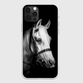 Чехол для iPhone 12 Pro Max с принтом Белая лошадь в Тюмени, Силикон |  | animal | beautiful | black | eyes | gloss | harness | horse | look | muzzle | white | белый | взгляд | глаза | животное | конь | красивый | лоск | лошадь | сбруя | скакун