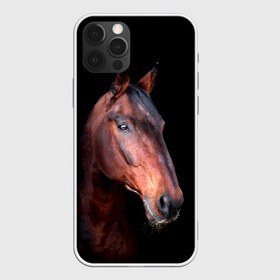 Чехол для iPhone 12 Pro Max с принтом Гнедая лошадь в Тюмени, Силикон |  | animal | beautiful | black | brown | chocolate | eyes | gloss | horse | look | muzzle | portrait | взгляд | глаза | животное | конь | коричневый | красивый | лоск | лошадь | портрет | скакун | черный | шоколадный