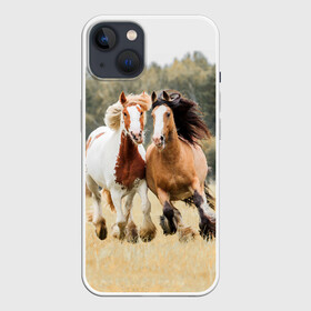Чехол для iPhone 13 с принтом Лошади в Тюмени,  |  | Тематика изображения на принте: animal | free | horse | mane | nature | pair | polish | wild | грива | дикий | животное | конь | лоск | лошадь | пара | природа | свободный | скакун
