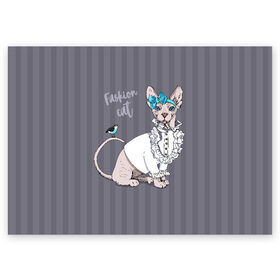 Поздравительная открытка с принтом Fashion cat в Тюмени, 100% бумага | плотность бумаги 280 г/м2, матовая, на обратной стороне линовка и место для марки
 | bird | bow | breed | cat | glamor | look | muzzle | sphinx | style | tail | бант | взгляд | гламур | кошка | порода | птица | стиль | сфинкс | хвост