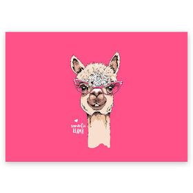 Поздравительная открытка с принтом Romantic llama в Тюмени, 100% бумага | плотность бумаги 280 г/м2, матовая, на обратной стороне линовка и место для марки
 | alpaca | animal | cool | flowers | head | heart | inscription | llama | look | pink | romance | альпака | взгляд | голова | животное | лама | любовь | надпись | очки | прикольный | розовые | романтика | сердце | цветы