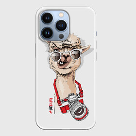 Чехол для iPhone 13 Pro с принтом NoDrama в Тюмени,  |  | alpaca | animal | camera | cool | drama | hashtag | head | inscription | llama | look | nodrama | photographer | альпака | взгляд | голова | драма | животное | камера | лама | надпись | очки | прикольный | фотоаппарат | фотограф | хэштег