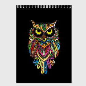 Скетчбук с принтом Сова в Тюмени, 100% бумага
 | 48 листов, плотность листов — 100 г/м2, плотность картонной обложки — 250 г/м2. Листы скреплены сверху удобной пружинной спиралью | art | background | big | bird | black | drawing | eyes | multicolored | owl | sight | symbol | wisdom | большие | взгляд | глаза | искусство | мудрость | птица | разноцветный | рисунок | символ | сова | филин | фон | черный
