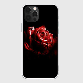 Чехол для iPhone 12 Pro Max с принтом Кровавая роза в Тюмени, Силикон |  | брызги | кровавая роза | кровь | роза | цветы