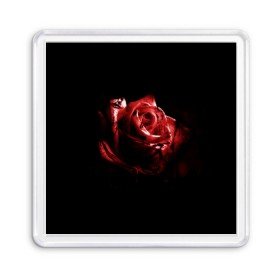 Магнит 55*55 с принтом Кровавая роза в Тюмени, Пластик | Размер: 65*65 мм; Размер печати: 55*55 мм | брызги | кровавая роза | кровь | роза | цветы