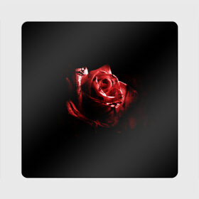 Магнит виниловый Квадрат с принтом Кровавая роза в Тюмени, полимерный материал с магнитным слоем | размер 9*9 см, закругленные углы | Тематика изображения на принте: брызги | кровавая роза | кровь | роза | цветы