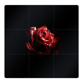 Магнитный плакат 3Х3 с принтом Кровавая роза в Тюмени, Полимерный материал с магнитным слоем | 9 деталей размером 9*9 см | Тематика изображения на принте: брызги | кровавая роза | кровь | роза | цветы