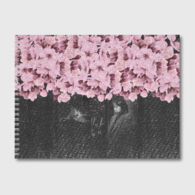 Альбом для рисования с принтом One Spring Night в Тюмени, 100% бумага
 | матовая бумага, плотность 200 мг. | весеняяночь | героисериалов | дорама | кимчжунхан | корейский | корейскийсериал | сериал | ханджимин
