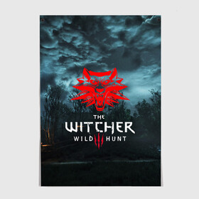 Постер с принтом THE WITCHER 3:WILD HUNT в Тюмени, 100% бумага
 | бумага, плотность 150 мг. Матовая, но за счет высокого коэффициента гладкости имеет небольшой блеск и дает на свету блики, но в отличии от глянцевой бумаги не покрыта лаком | cd projekt red | ciri | game | geralt | geralt of rivia | gwynbleidd | the witcher | the witcher 3: wild hunt | ведьмак | ведьмак 3: дикая охота | геральт | геральт из ривии | цири | цирилла