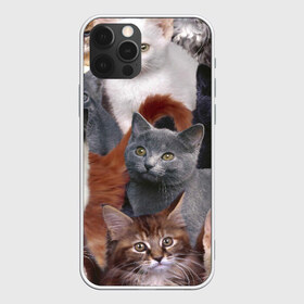 Чехол для iPhone 12 Pro Max с принтом Много котов в Тюмени, Силикон |  | кот | котишик | котишика | коты | кошка | кошки | много котов | многокотье