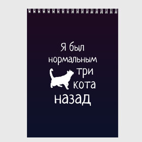 Скетчбук с принтом Я был в норме три кота назад в Тюмени, 100% бумага
 | 48 листов, плотность листов — 100 г/м2, плотность картонной обложки — 250 г/м2. Листы скреплены сверху удобной пружинной спиралью | Тематика изображения на принте: cats | normal | жизненно | жизнь | котики | коты | котэ | кошатник | кошатница | кошка | кошки | нормальный