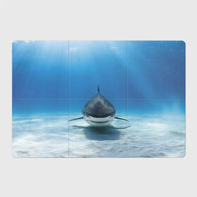 Магнитный плакат 3Х2 с принтом Анфас в Тюмени, Полимерный материал с магнитным слоем | 6 деталей размером 9*9 см | bottom | fin | full face | jaw | ocean | sand | shark | water | акула | анфас | вода | дно | океан | песок | плавник