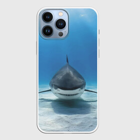 Чехол для iPhone 13 Pro Max с принтом Анфас в Тюмени,  |  | bottom | fin | full face | jaw | ocean | sand | shark | water | акула | анфас | вода | дно | океан | песок | плавник