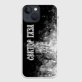 Чехол для iPhone 13 mini с принтом Сектор Газа в Тюмени,  |  | альтернативный | газа | группа | камеди рок | клинских | мелодекламация | метал | панк | реп | рок | рэп | сг | сектор | сектор газа | синти | советский | фолк | хард | хой | хоррор | юра. юрка | юрий