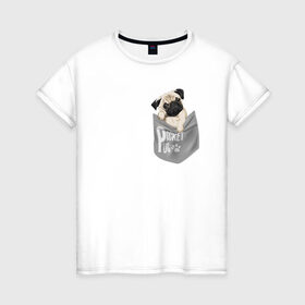 Женская футболка хлопок с принтом Мопс в кармане в Тюмени, 100% хлопок | прямой крой, круглый вырез горловины, длина до линии бедер, слегка спущенное плечо | pug | карман | карманный мопс | малыш | милый | мопс | пес | песик | собака | собачка