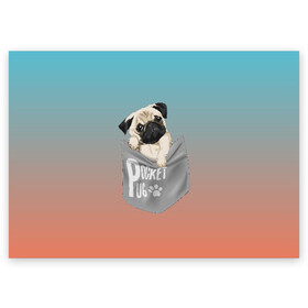 Поздравительная открытка с принтом Карманный мопс в Тюмени, 100% бумага | плотность бумаги 280 г/м2, матовая, на обратной стороне линовка и место для марки
 | pug | карман | карманный мопс | малыш | милый | мопс | пес | песик | собака | собачка