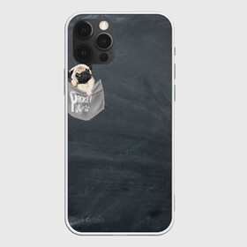 Чехол для iPhone 12 Pro с принтом Карманный мопс в Тюмени, силикон | область печати: задняя сторона чехла, без боковых панелей | pug | карман | карманный мопс | малыш | милый | мопс | пес | песик | собака | собачка
