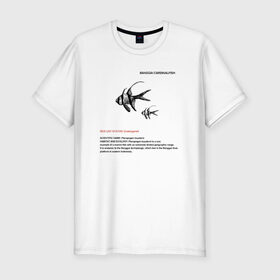 Мужская футболка премиум с принтом Banggai Cardinalfish в Тюмени, 92% хлопок, 8% лайкра | приталенный силуэт, круглый вырез ворота, длина до линии бедра, короткий рукав | animals | red book | red list | животные | животные из красной книги | красная книга | редкие животные