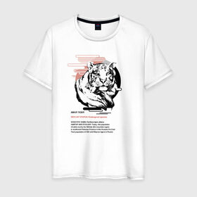 Мужская футболка хлопок с принтом Amur tiger в Тюмени, 100% хлопок | прямой крой, круглый вырез горловины, длина до линии бедер, слегка спущенное плечо. | animals | red book | red list | животные | животные из красной книги | красная книга | редкие животные