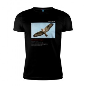 Мужская футболка премиум с принтом Saker falcon в Тюмени, 92% хлопок, 8% лайкра | приталенный силуэт, круглый вырез ворота, длина до линии бедра, короткий рукав | animals | red book | red list | животные | животные из красной книги | красная книга | редкие животные