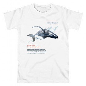 Мужская футболка хлопок с принтом Hampback whale в Тюмени, 100% хлопок | прямой крой, круглый вырез горловины, длина до линии бедер, слегка спущенное плечо. | animals | red book | red list | животные | животные из красной книги | красная книга | редкие животные