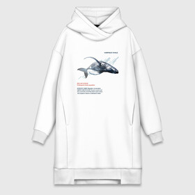 Платье-худи хлопок с принтом Hampback whale в Тюмени,  |  | animals | red book | red list | животные | животные из красной книги | красная книга | редкие животные