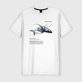 Мужская футболка премиум с принтом Hampback whale в Тюмени, 92% хлопок, 8% лайкра | приталенный силуэт, круглый вырез ворота, длина до линии бедра, короткий рукав | animals | red book | red list | животные | животные из красной книги | красная книга | редкие животные